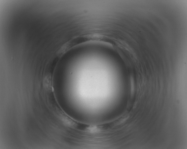 X0000083050425200702091443