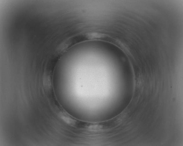 X0000083050426200702091443