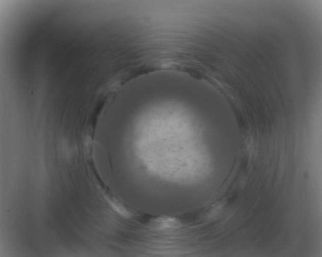 X0000083050427200702091443