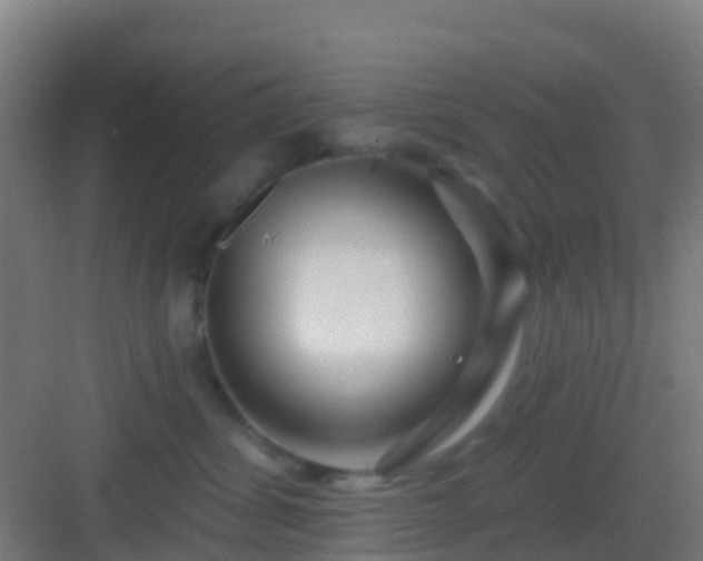 X0000083050428200702091443