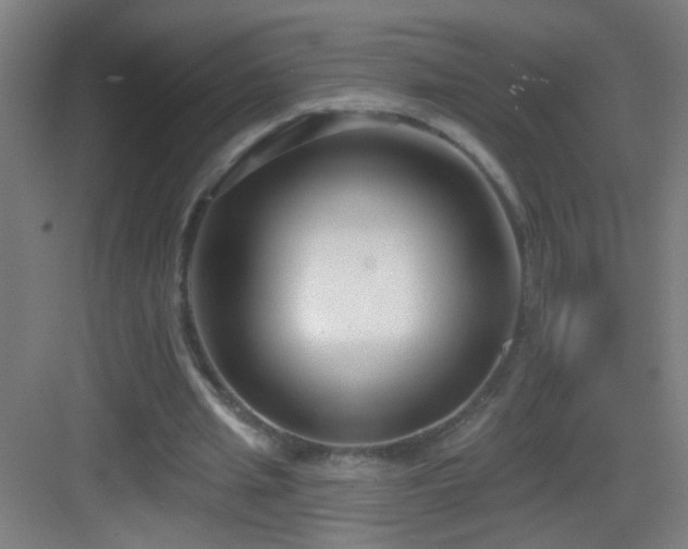 X0000083050437200702091442