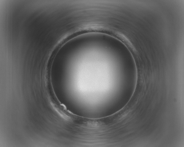 X0000083050439200702091442
