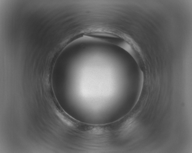 X0000083050441200702091442