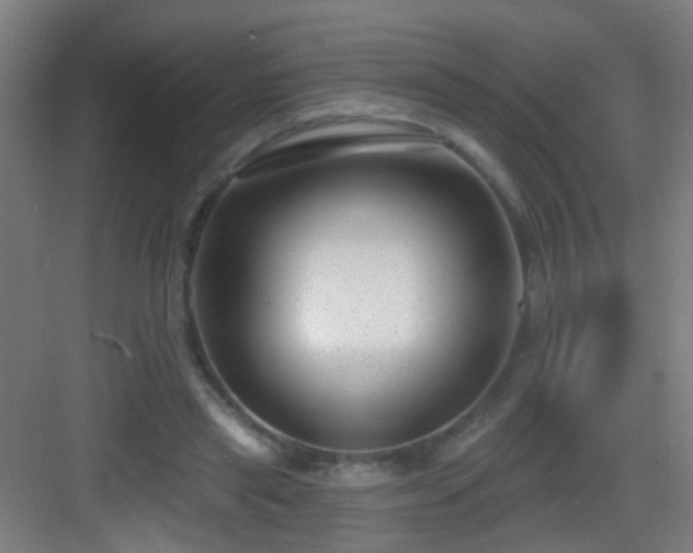 X0000083050445200702091442