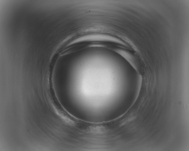 X0000083050446200702091442