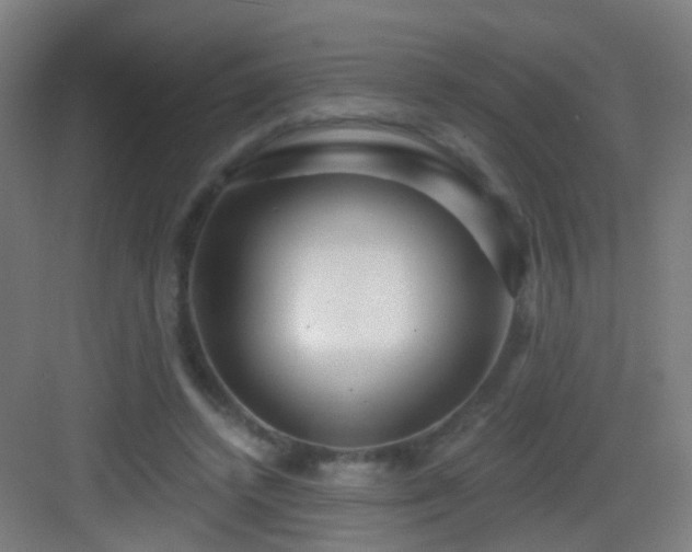 X0000083050448200702091442
