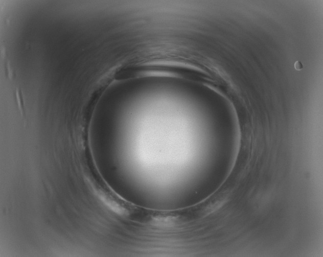 X0000083050450200702091442