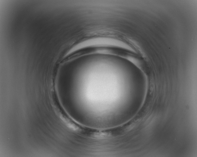 X0000083050453200702091442