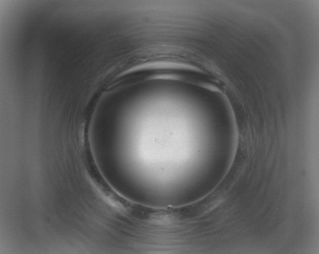 X0000083050454200702091442