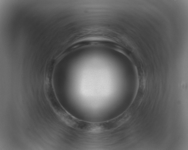 X0000083050456200702091442