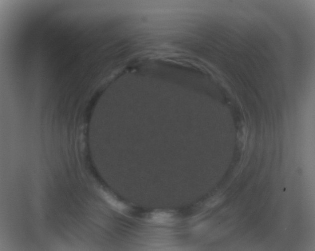 X0000083050462200702091442