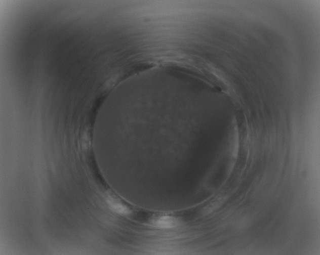 X0000083050467200702091443