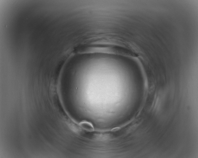 X0000083050469200702091443