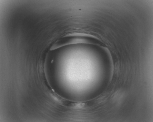 X0000083050474200702091443