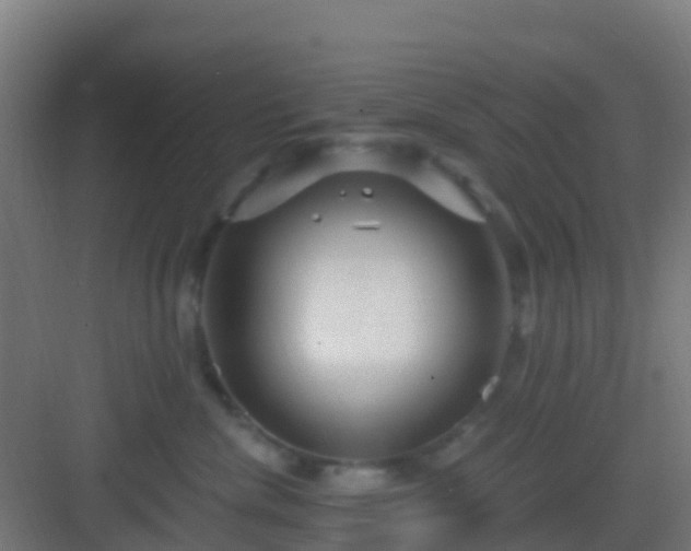 X0000083050476200702091443