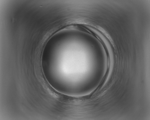 X0000083050481200702091442