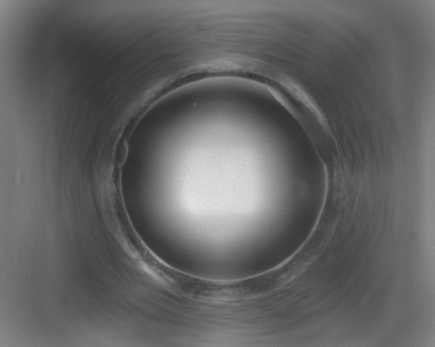 X0000083050485200702091442