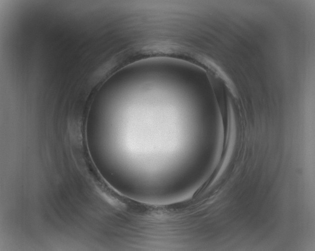 X0000083050489200702091442