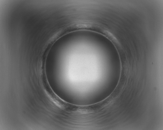 X0000083050490200702091442