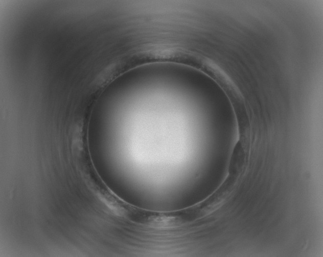 X0000083050497200702091442