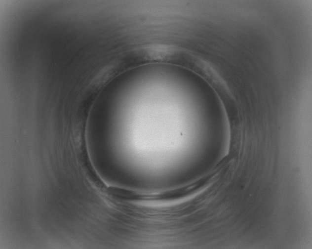 X0000083050505200702091442