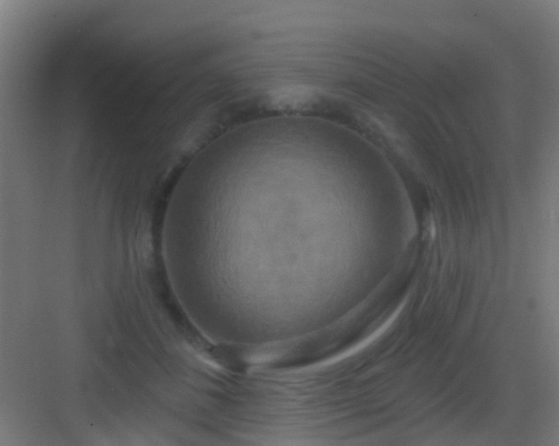 X0000083050508200702091441