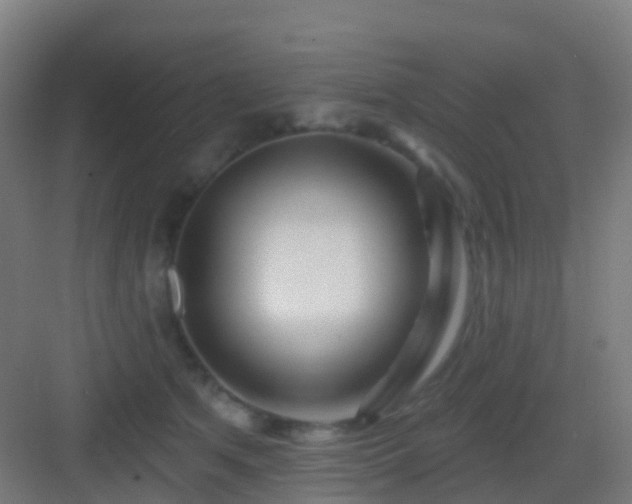 X0000083050513200702091441