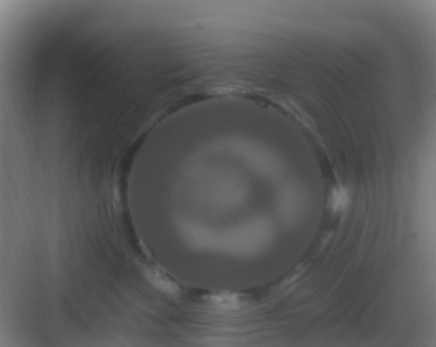 X0000083050524200702091441