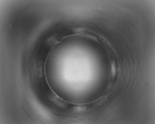 X0000083050525200702091441