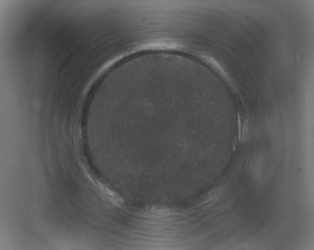X0000083050531200702091440