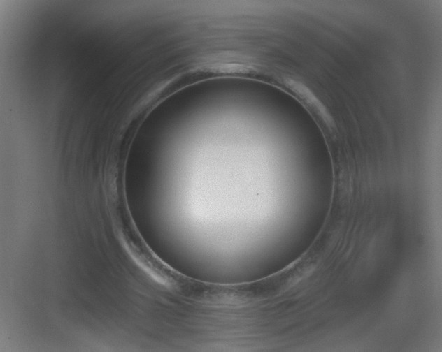 X0000083050533200702091440