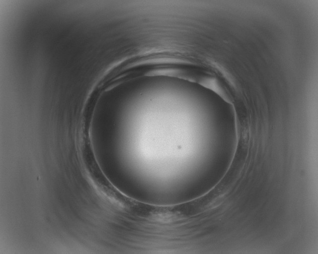 X0000083050540200702091440