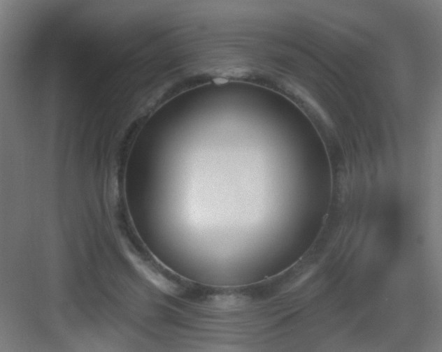 X0000083050541200702091441