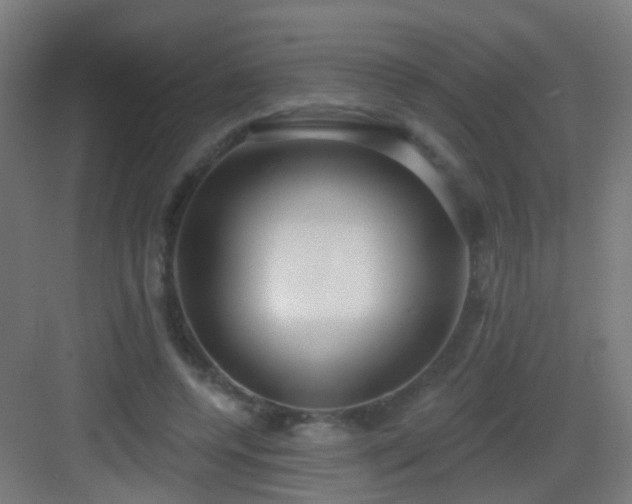 X0000083050544200702091441