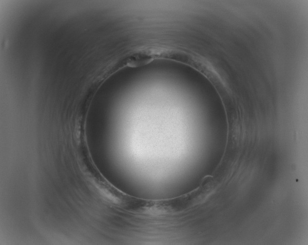 X0000083050545200702091441