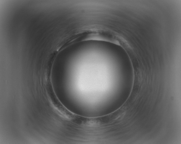 X0000083050546200702091441