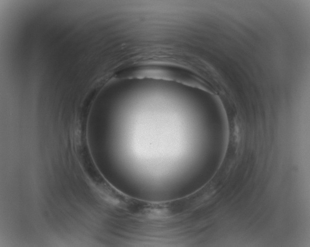 X0000083050552200702091441