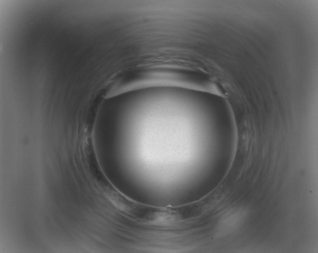 X0000083050555200702091441