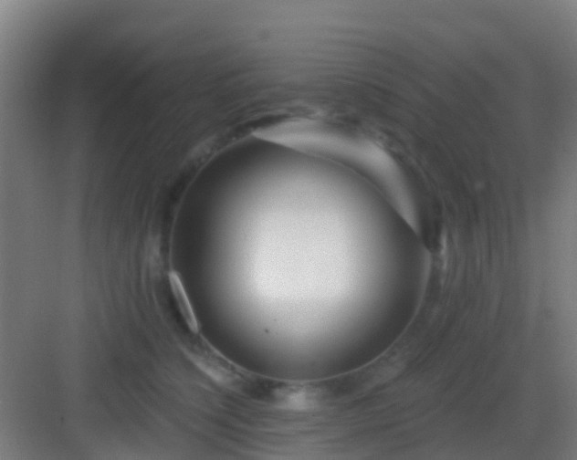 X0000083050564200702091441