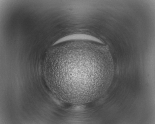 X0000083050569200702091441