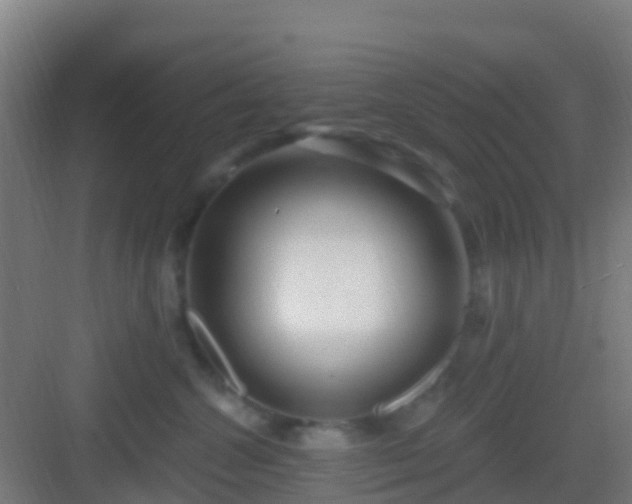 X0000083050572200702091441
