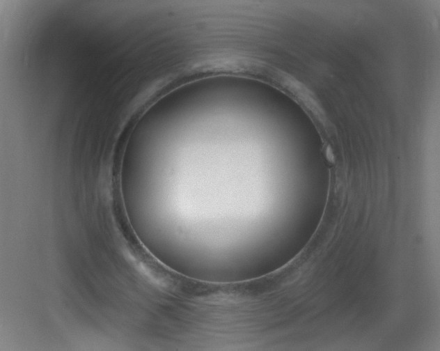X0000083050578200702091440
