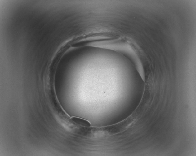 X0000083050587200702091440