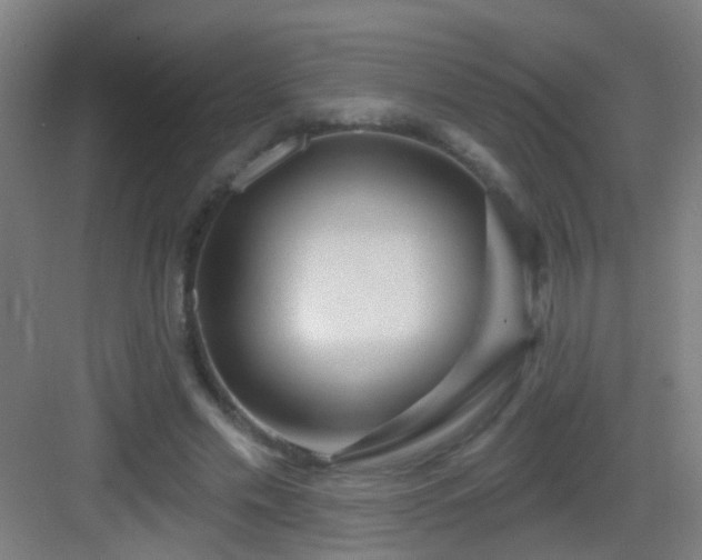 X0000083050589200702091440