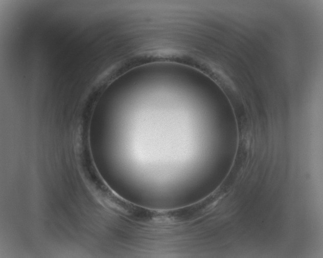X0000083050591200702091440