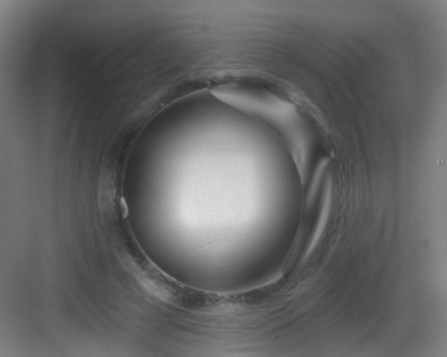 X0000083050593200702091440