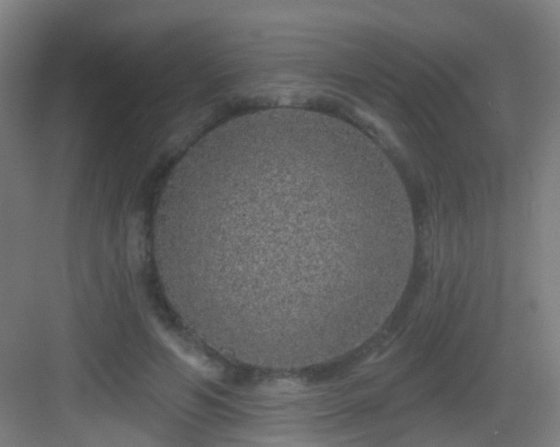 X0000083050594200702091440