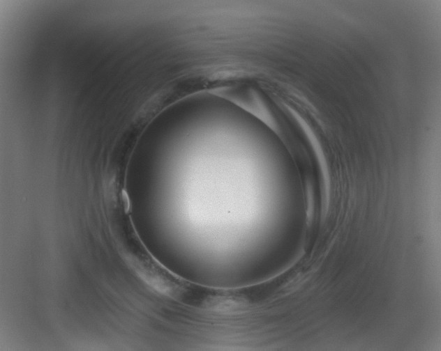 X0000083050597200702091440