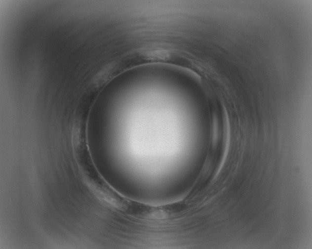 X0000083050600200702091440
