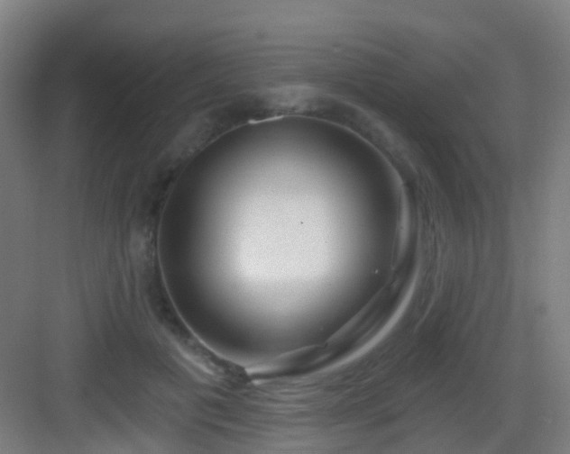 X0000083050601200702091440